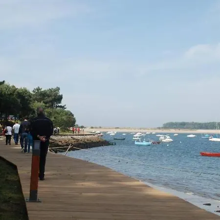 Vila Beachhouse Architecture Awarded With Seaview *